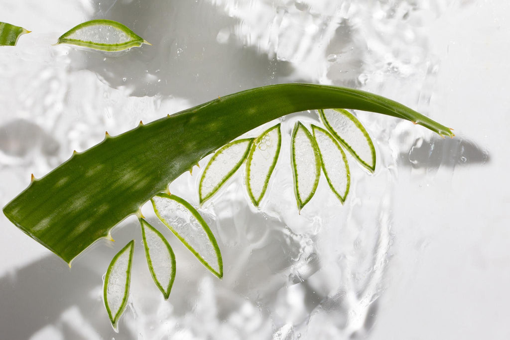 Holika Holika Aloe Hydro Formula 96% Light Soothing Gel – Beruhigendes Aloe Vera Gel, 250 ml - alta-beauty.com