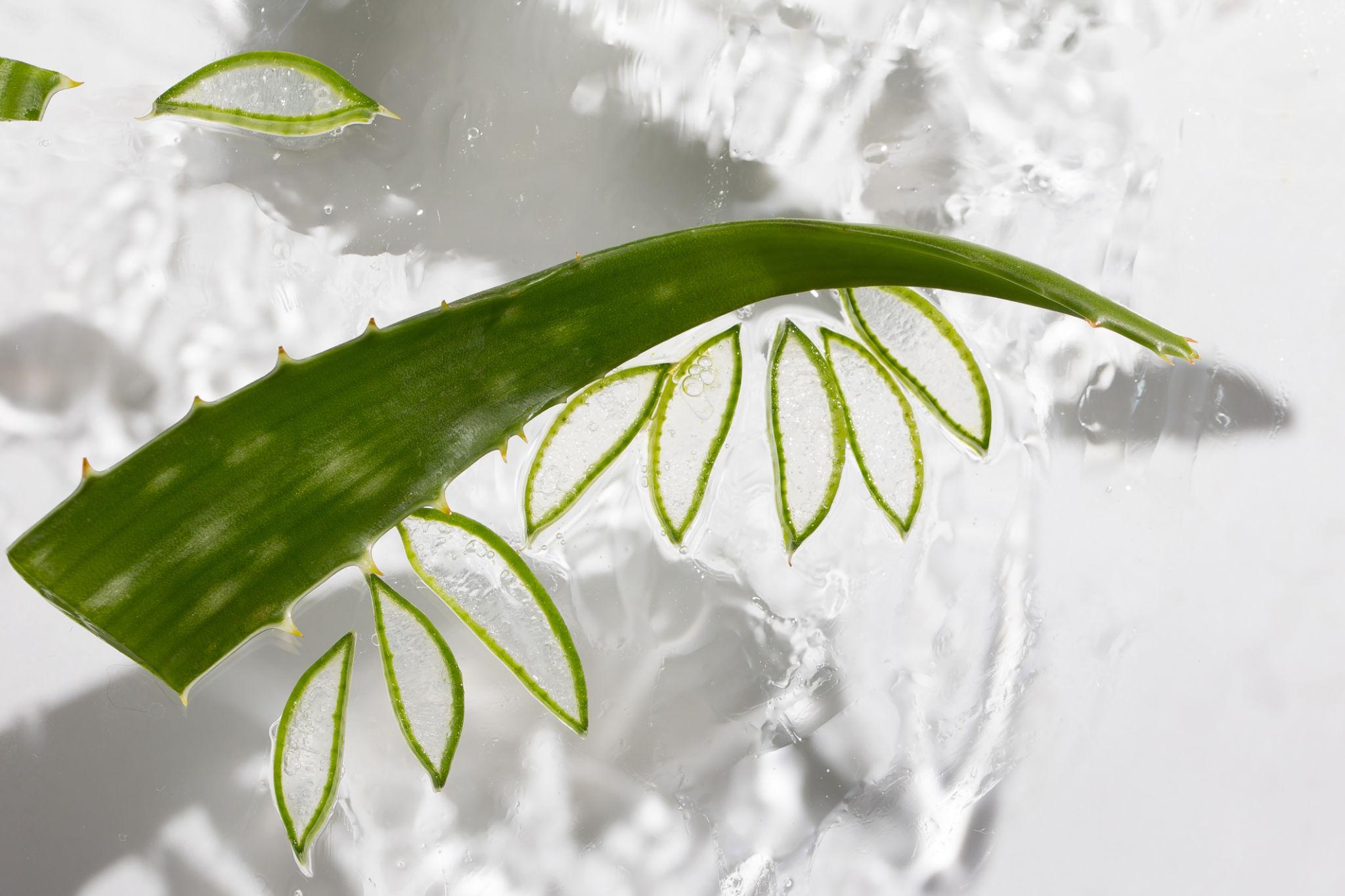 Holika Holika Aloe Hydro Formula 96% Light Soothing Gel – Beruhigendes Aloe Vera Gel, 250 ml - alta-beauty.com