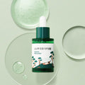 Round Lab Pine Calming Cica Ampoule 30ml – beruhigende Kiefer-Cica Ampoule Akne-Haut