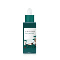 Round Lab Pine Calming Cica Ampoule 50ml – beruhigende Kiefer-Cica Ampoule Akne Grossformat